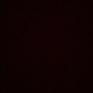 Meet your Posher, Rafael